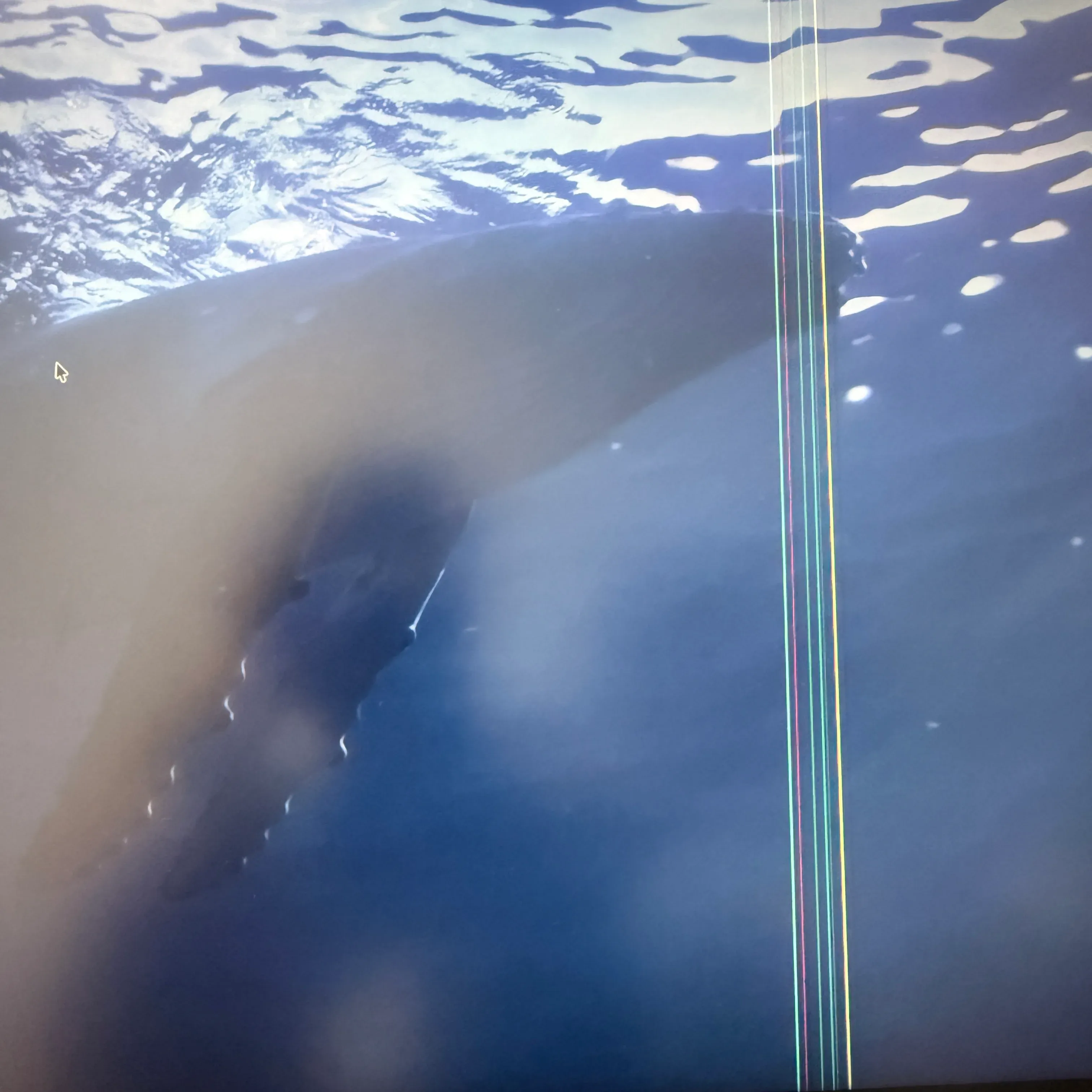 The vertical line that ran across the previous model's screen. This is what prompted the replacement